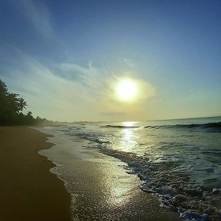Sasagara Beach Villa تانجالي المظهر الخارجي الصورة